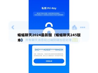 蝙蝠聊天2024最新版（蝙蝠聊天245版本）