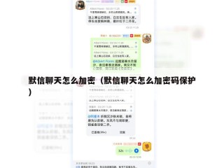 默信聊天怎么加密（默信聊天怎么加密码保护）