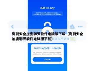 海鸥安全加密聊天软件电脑版下载（海鸥安全加密聊天软件电脑版下载）