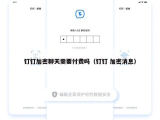 钉钉加密聊天需要付费吗（钉钉 加密消息）