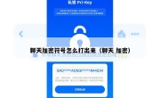聊天加密符号怎么打出来（聊天 加密）