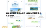 蝙蝠加密聊天设什么暗号（蝙蝠加密聊天设什么暗号好）