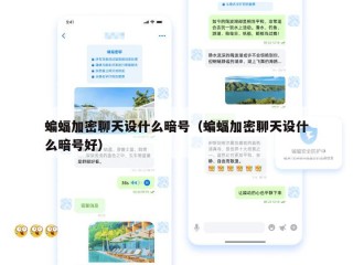蝙蝠加密聊天设什么暗号（蝙蝠加密聊天设什么暗号好）