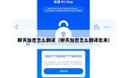 聊天加密怎么翻译（聊天加密怎么翻译出来）