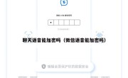 聊天语音能加密吗（微信语音能加密吗）