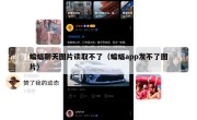 蝙蝠聊天图片读取不了（蝙蝠app发不了图片）