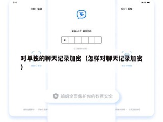 对单独的聊天记录加密（怎样对聊天记录加密）
