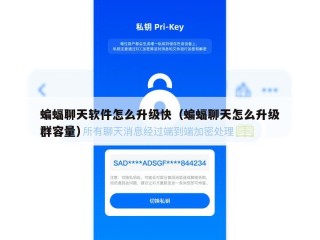 蝙蝠聊天软件怎么升级快（蝙蝠聊天怎么升级群容量）