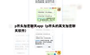 p开头加密聊天app（p开头的英文加密聊天软件）