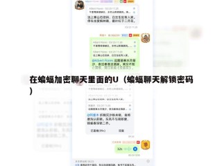 在蝙蝠加密聊天里面的U（蝙蝠聊天解锁密码）