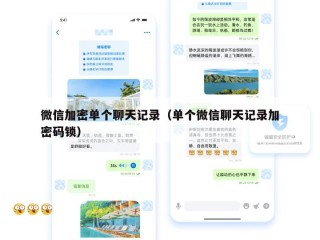 微信加密单个聊天记录（单个微信聊天记录加密码锁）