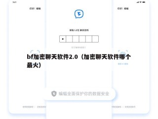 bf加密聊天软件2.0（加密聊天软件哪个最火）