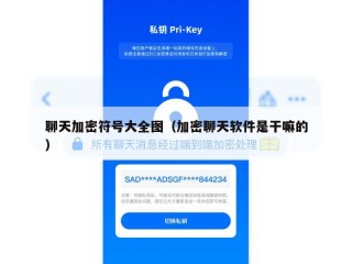 聊天加密符号大全图（加密聊天软件是干嘛的）
