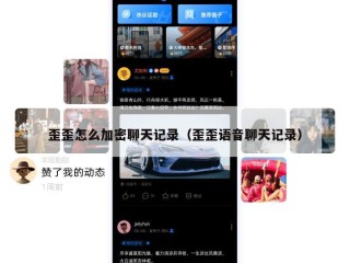 歪歪怎么加密聊天记录（歪歪语音聊天记录）