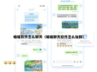 蝙蝠软件怎么聊天（蝙蝠聊天软件怎么加群）
