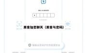 黑客加密聊天（黑客与密码）