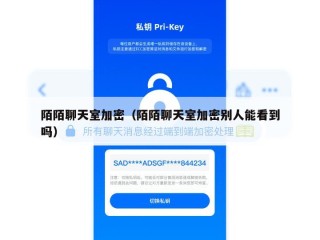 陌陌聊天室加密（陌陌聊天室加密别人能看到吗）