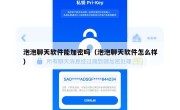 泡泡聊天软件能加密吗（泡泡聊天软件怎么样）