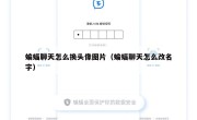 蝙蝠聊天怎么换头像图片（蝙蝠聊天怎么改名字）