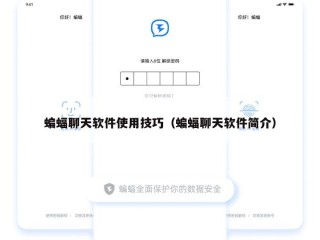 蝙蝠聊天软件使用技巧（蝙蝠聊天软件简介）