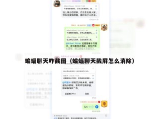 蝙蝠聊天咋截图（蝙蝠聊天截屏怎么消除）