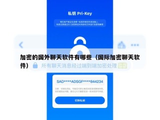 加密的国外聊天软件有哪些（国际加密聊天软件）