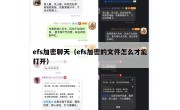efs加密聊天（efs加密的文件怎么才能打开）