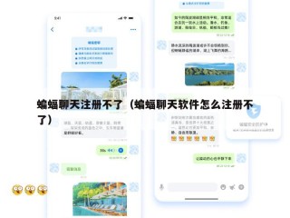蝙蝠聊天注册不了（蝙蝠聊天软件怎么注册不了）