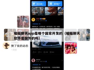 蝙蝠聊天app是哪个国家开发的（蝙蝠聊天软件是国外的吗）