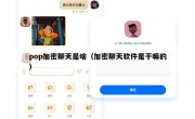 pop加密聊天是啥（加密聊天软件是干嘛的）