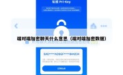 端对端加密聊天什么意思（端对端加密数据）