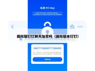 国际版钉钉聊天加密吗（国际版本钉钉）