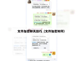 文件加密聊天技巧（文件加密如何）