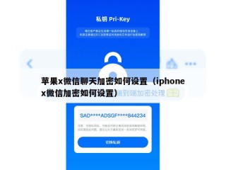 苹果x微信聊天加密如何设置（iphonex微信加密如何设置）