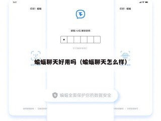 蝙蝠聊天好用吗（蝙蝠聊天怎么样）