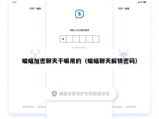 蝙蝠加密聊天干嘛用的（蝙蝠聊天解锁密码）