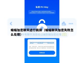 蝙蝠加密聊天进行截屏（蝙蝠聊天加密失败怎么处理）