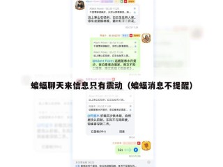蝙蝠聊天来信息只有震动（蝙蝠消息不提醒）