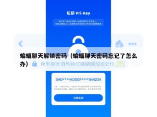 蝙蝠聊天解锁密码（蝙蝠聊天密码忘记了怎么办）