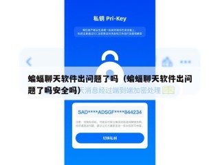 蝙蝠聊天软件出问题了吗（蝙蝠聊天软件出问题了吗安全吗）