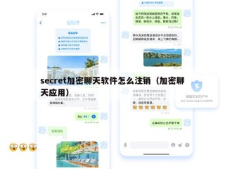 secret加密聊天软件怎么注销（加密聊天应用）