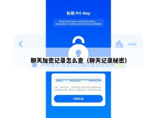 聊天加密记录怎么查（聊天记录秘密）