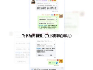 飞书加密聊天（飞书密聊在哪儿）