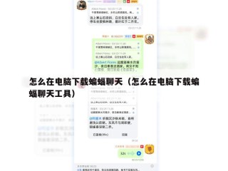 怎么在电脑下载蝙蝠聊天（怎么在电脑下载蝙蝠聊天工具）
