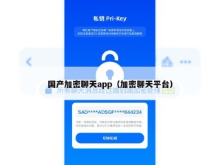 国产加密聊天app（加密聊天平台）