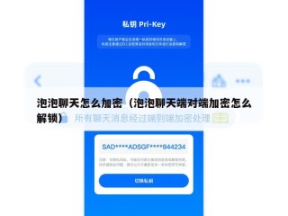 泡泡聊天怎么加密（泡泡聊天端对端加密怎么解锁）