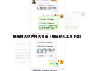 蝙蝠聊天软件聊天界面（蝙蝠聊天工具下载）