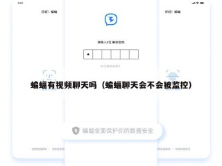 蝙蝠有视频聊天吗（蝙蝠聊天会不会被监控）