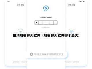 主动加密聊天软件（加密聊天软件哪个最火）