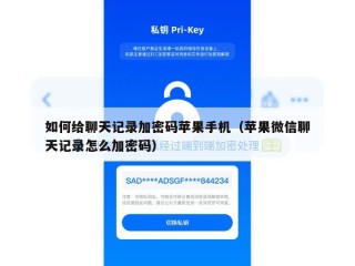 如何给聊天记录加密码苹果手机（苹果微信聊天记录怎么加密码）